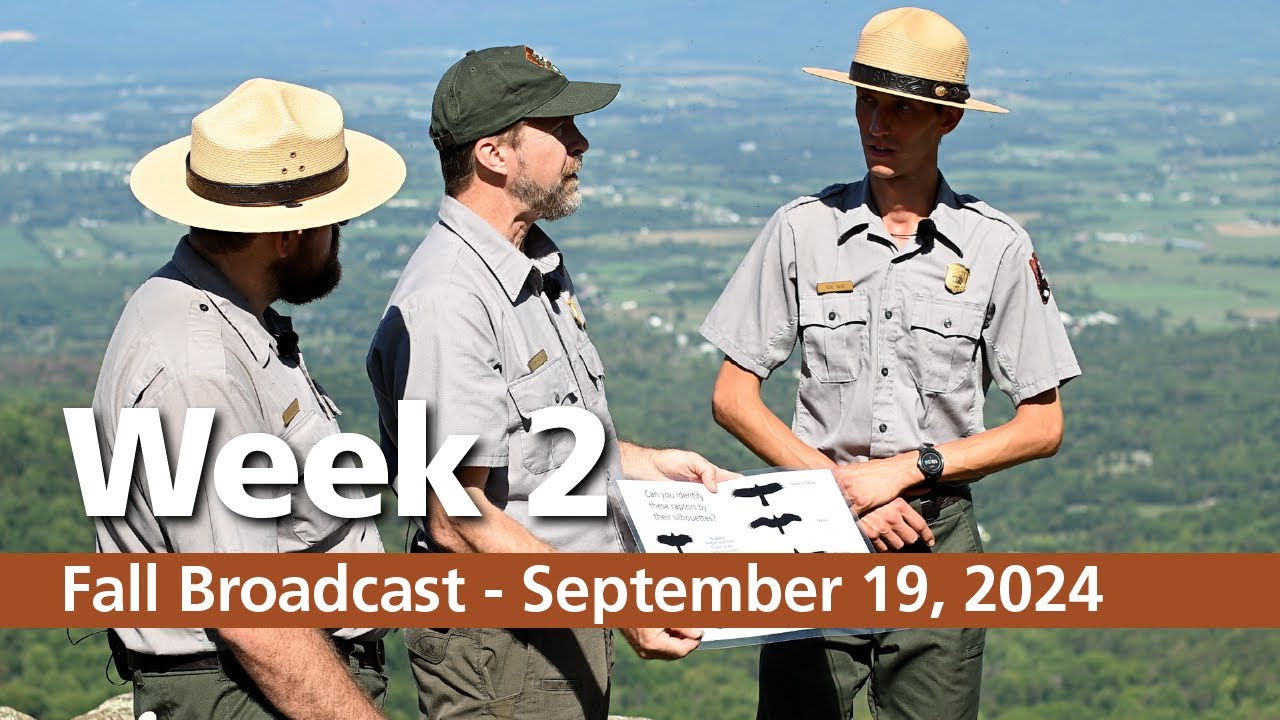 Fall Broadcast - Week 2