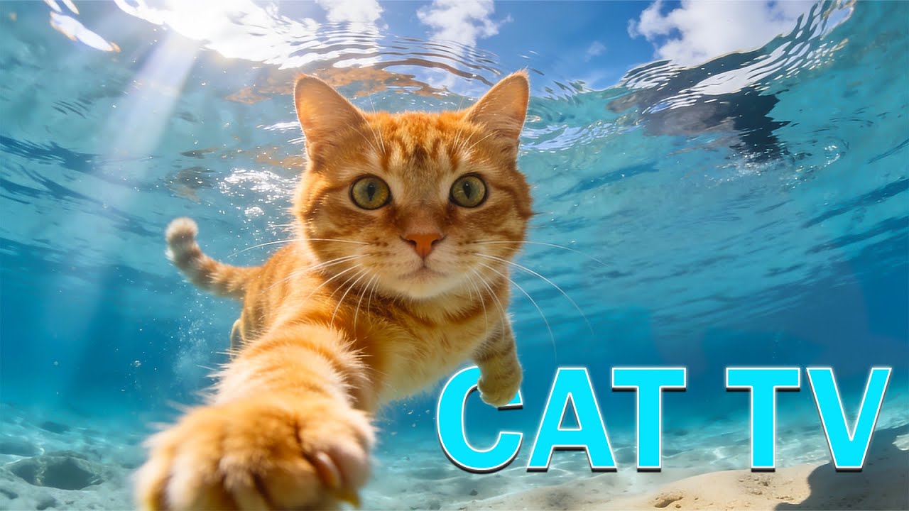 Музыка для оздоровления кошек 🐈 Нежная музыка и мягкое пение птиц для тревожных и стрессовых кошек