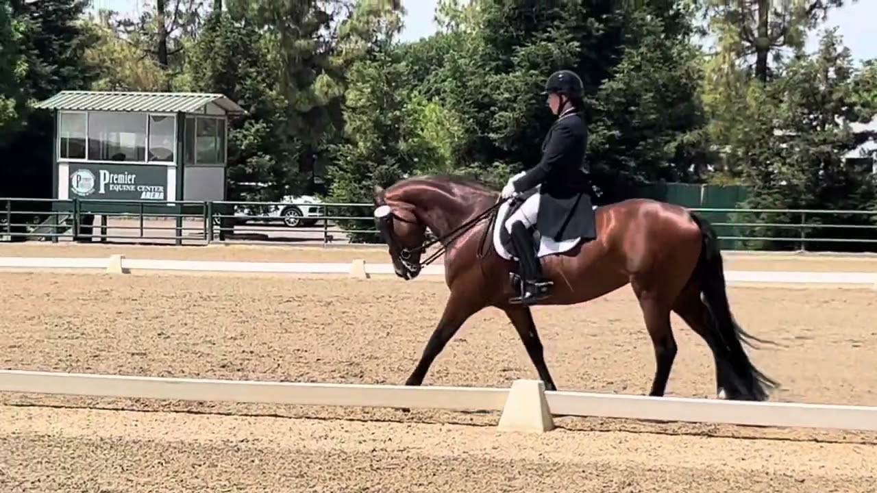 Prix St. Georges    62.058%