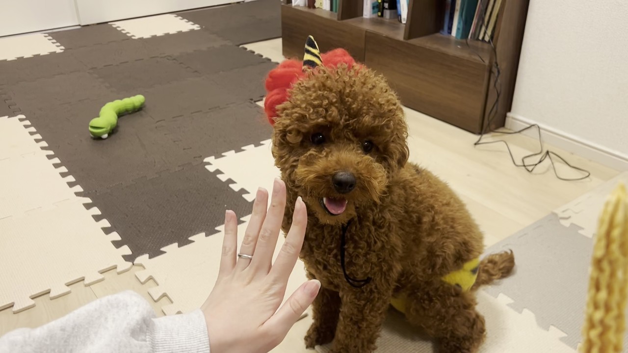 我が家にかわいい鬼が出ました！！