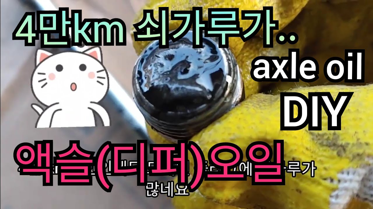 렉스턴스포츠 디퍼런셜오일 교환 |쌍용정비지침서 보기Rexton Sports Differential[Axle] Oil Change| How To Access Repair Manual