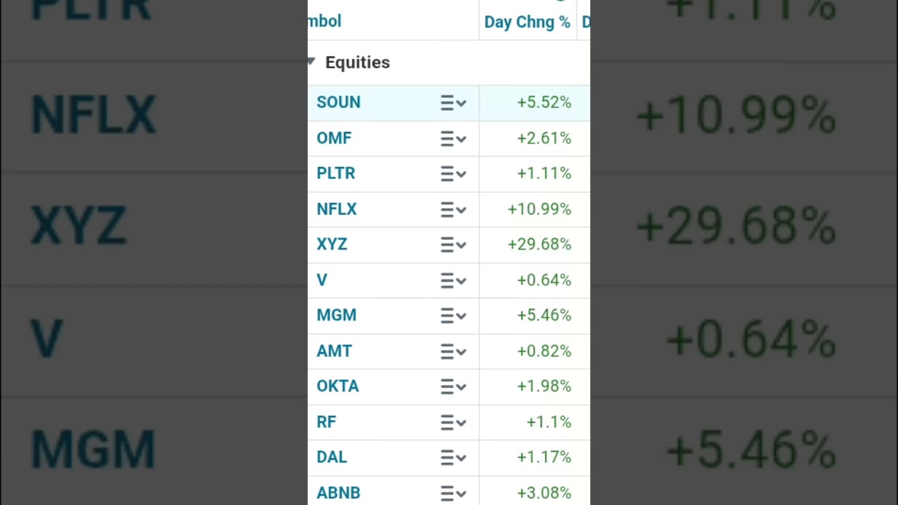 Top Stocks - SoundHound, Netflix, Block(29%)