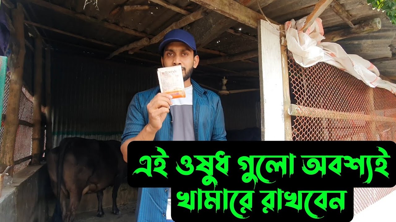 খামারে অবশ্যই এই ওষুধ গুলো সবসময় রাখবেন 🐄