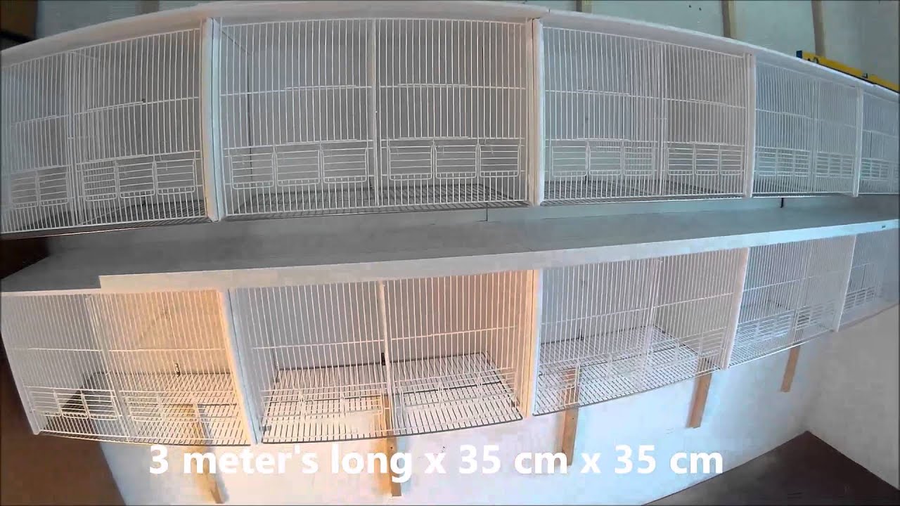 New PVC Cages