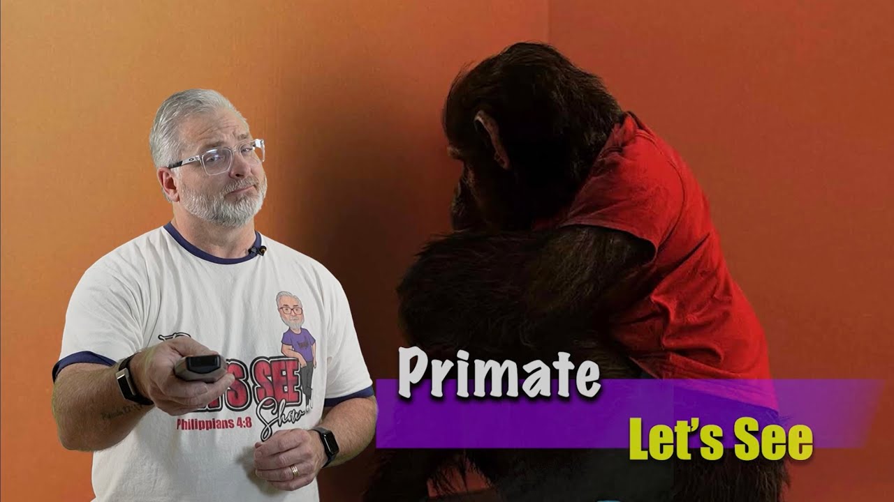 Let's See Primate