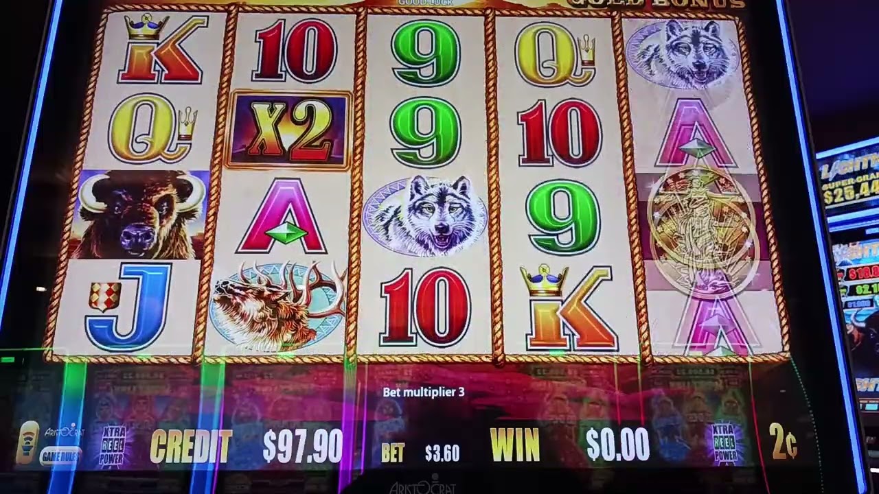 Buffalo Bonus and Line hits!  #hardrocktampa #slots
