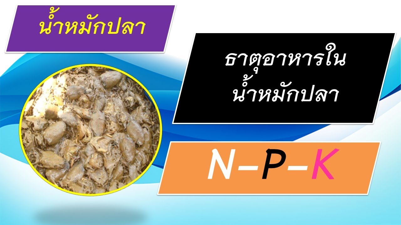 ธาตุอาหาร N-P-K ในน้ำหมักปลาตัวไหนเยอะกว่ากัน?