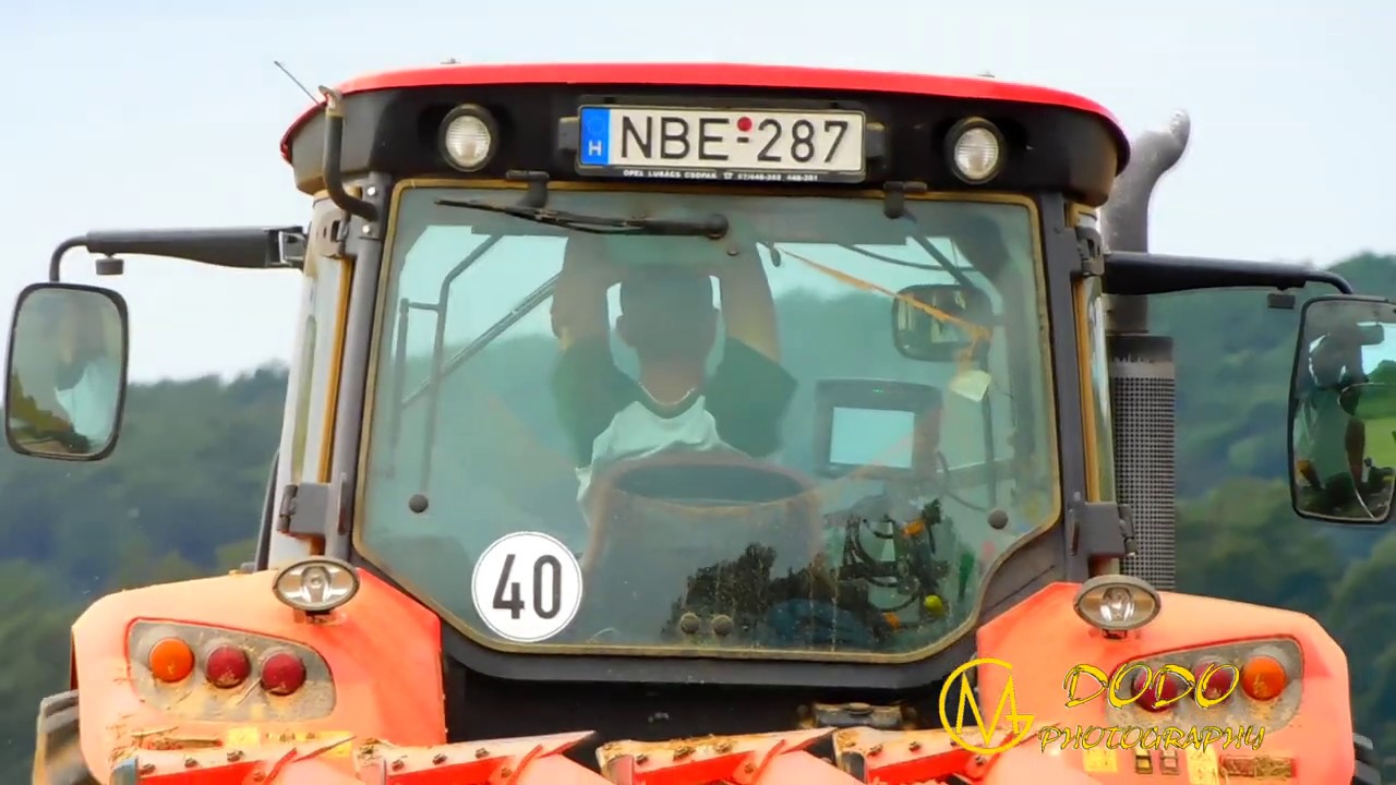 Kimaradt és vicces jelenetek,Bakik 2019