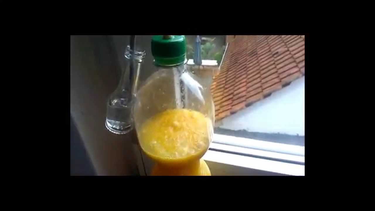 Wein selber machen [Tag 1# Videotagebuch reallife]