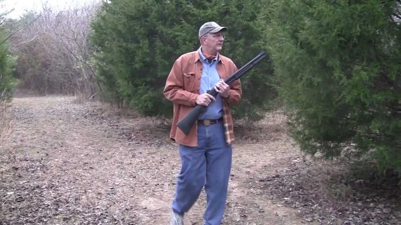 Christmas Tree Hunt  2012