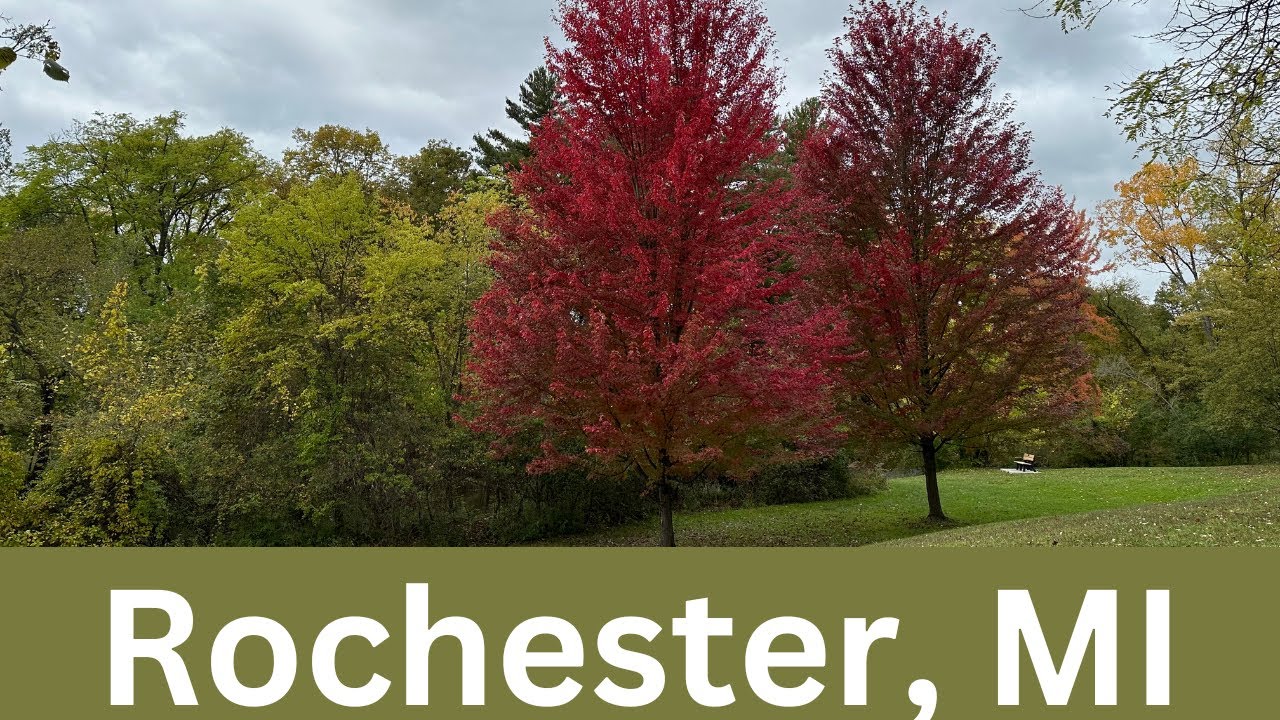 ROCHESTER, MI:  What to see and do!