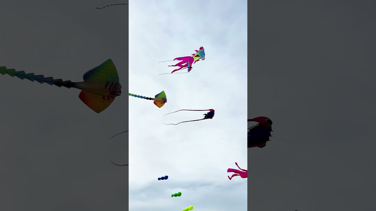 Two wings widened by 2 meters, aerodynamic wing design, easy takeoff with 3-level winds