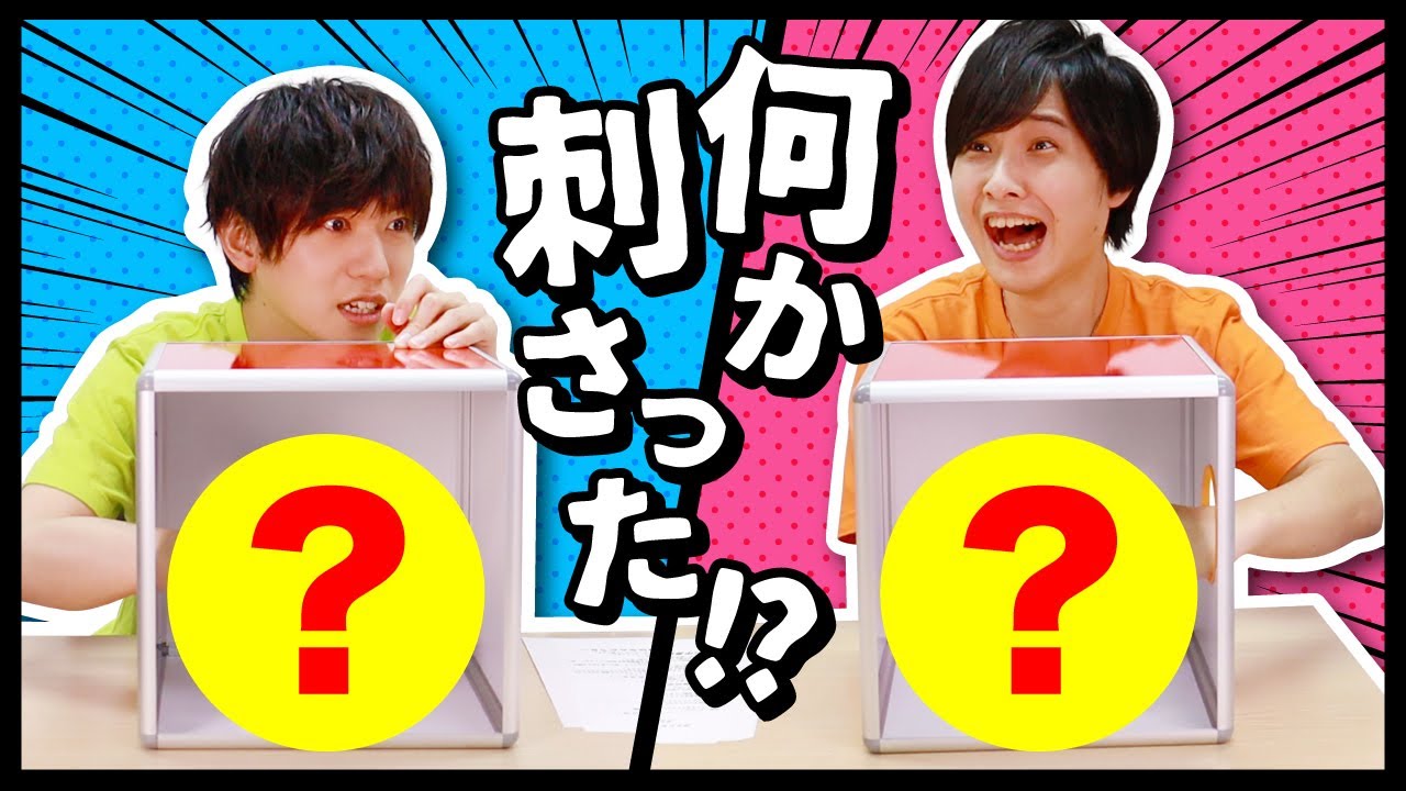 【虫はNG‼】じゅんたくんと箱の中身はなんだろな？【ゲスト：寺島惇太】