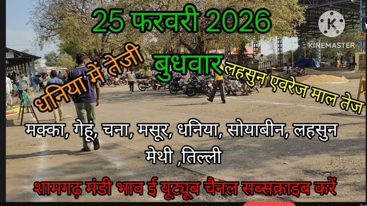 25 फरवरी 2026 बुधवार शामगढ़ मंडी भाव, सभी फसलों के भाव की जानकारी क्वालिटी के अनुसार।