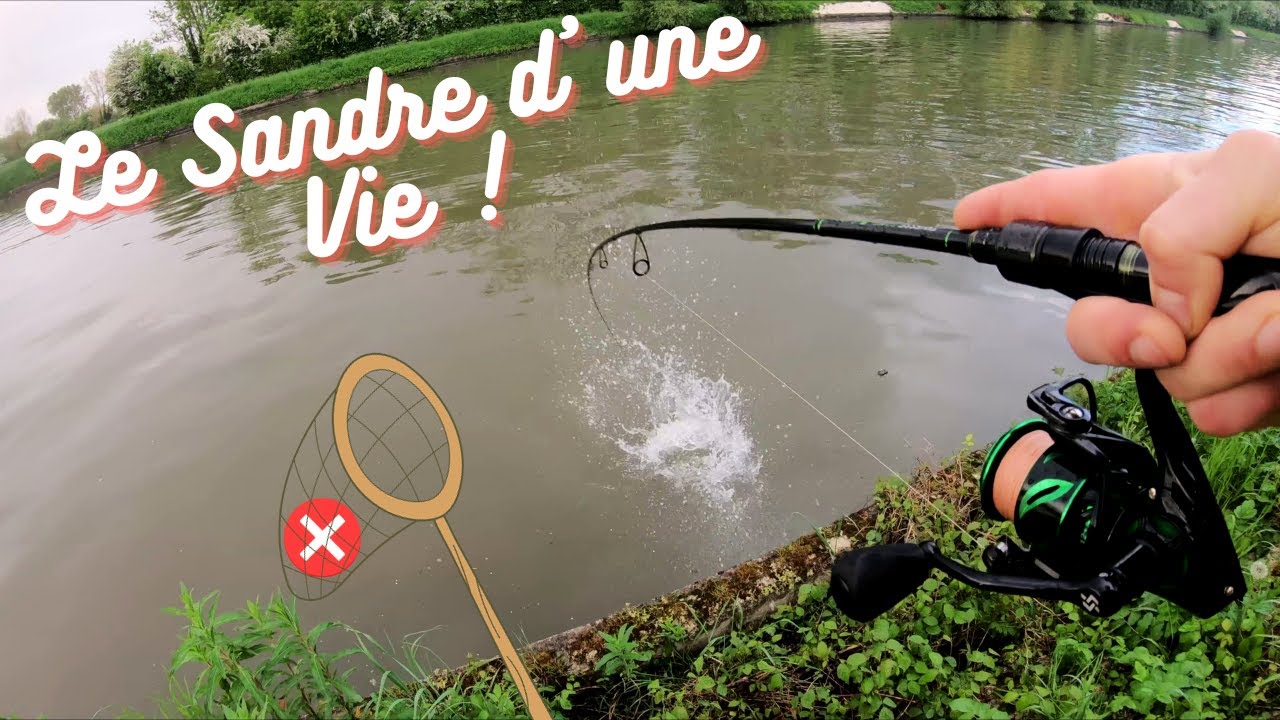 Pêche du Sandre aux leurres Canal du Nord (59)