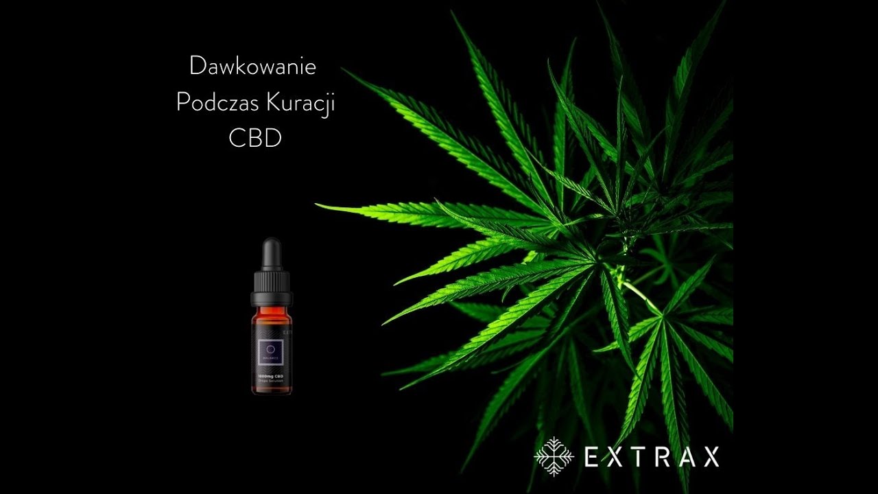 Extrax Polska - dawkowanie CBD