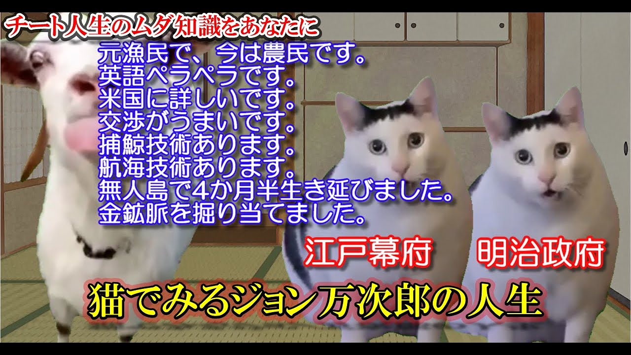 猫とみる皆大好きジョン万次郎【猫ミーム  猫マニ】