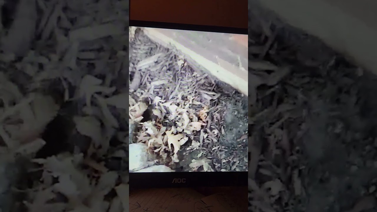 Basement waterproofing Detroit block  wall efflorescence home inspector missed existing defects