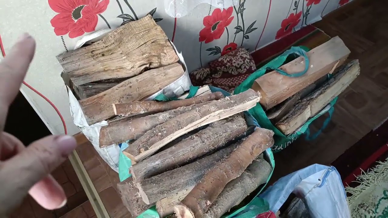 Морозные дни. Разговоры с родителями