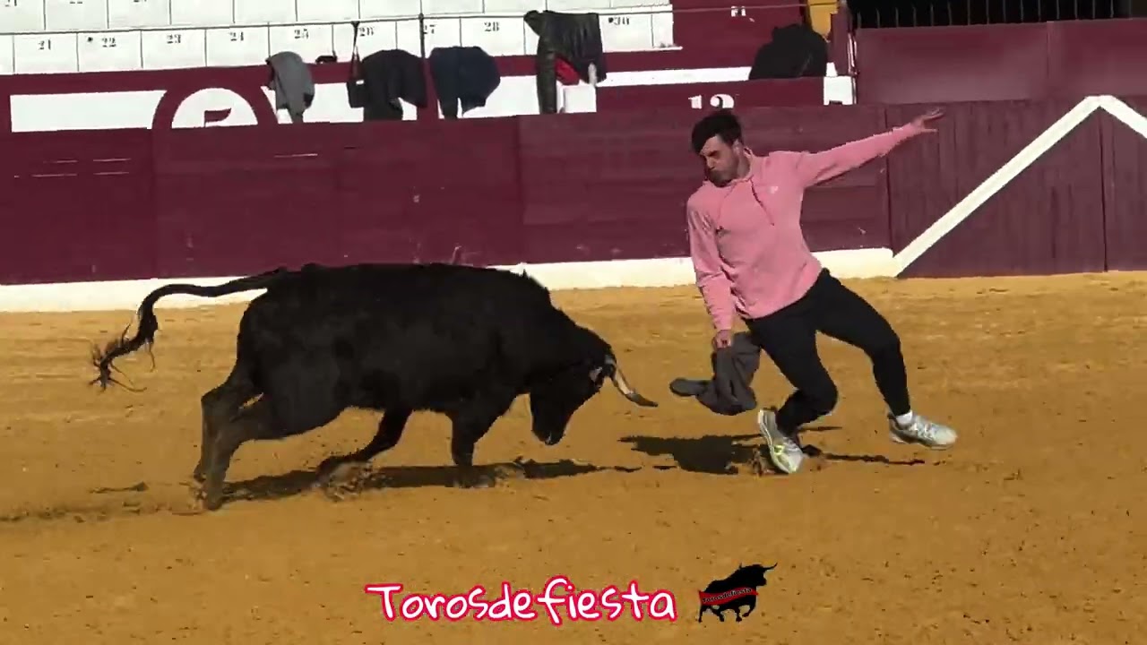 Tienta privada en Tarazona. Ganadería Hnos. Ferrer