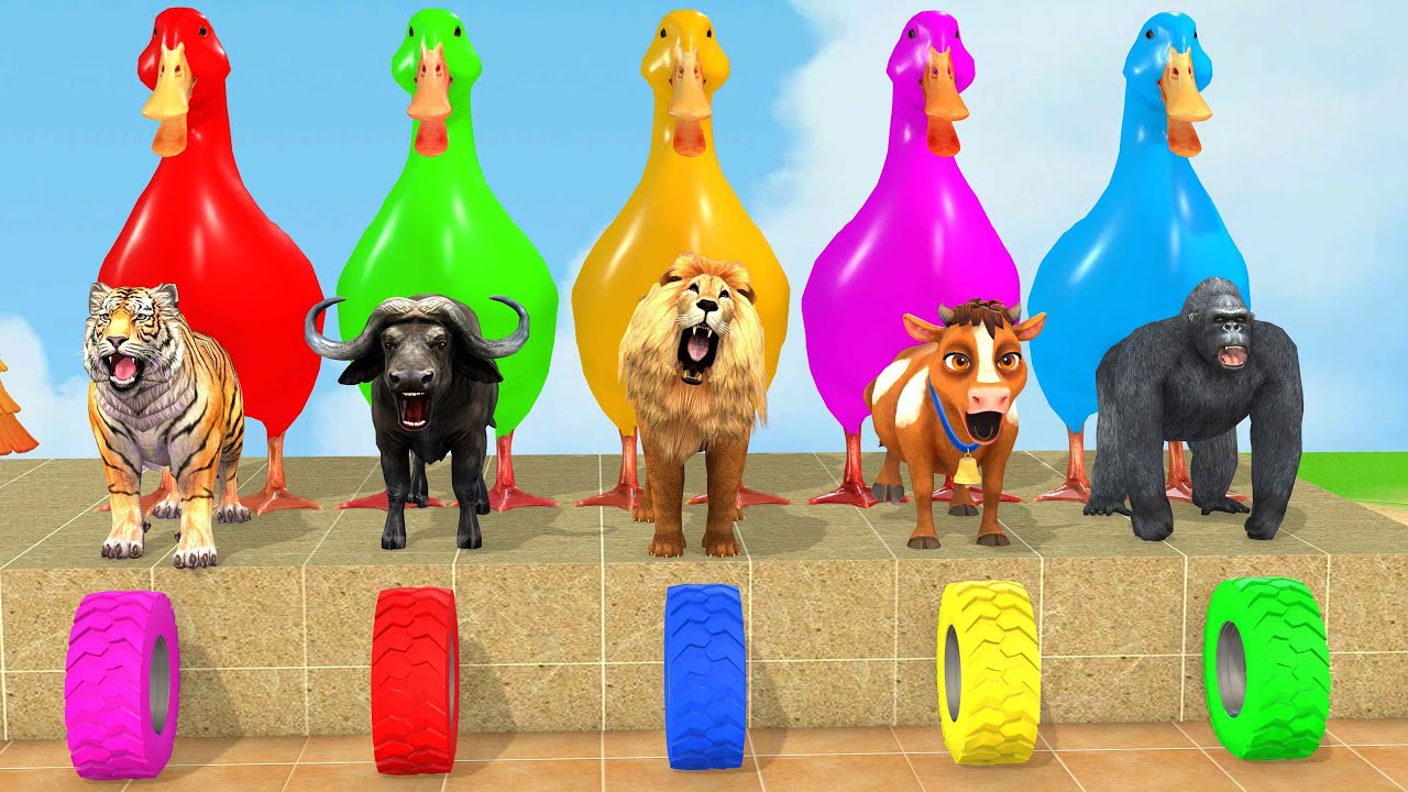 Long Slide Game With Cow Elephant Gorilla Hippopotamus Tiger 3d Animal Game Funny 3d Animals