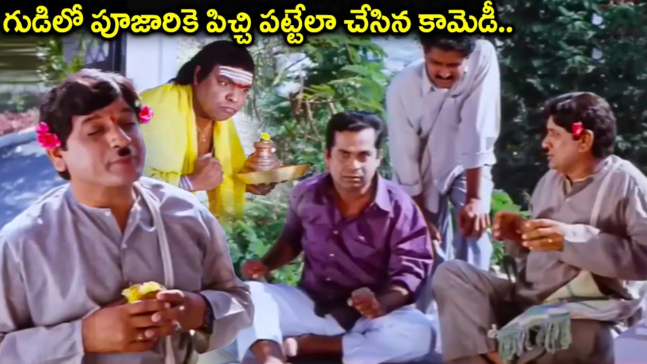గుడిలో పూజారికె పిచ్చి పట్టేలా చేసిన కామెడీ.. | Brahmanandam Avs & Gundu Hanumantha Rao Comedy scene