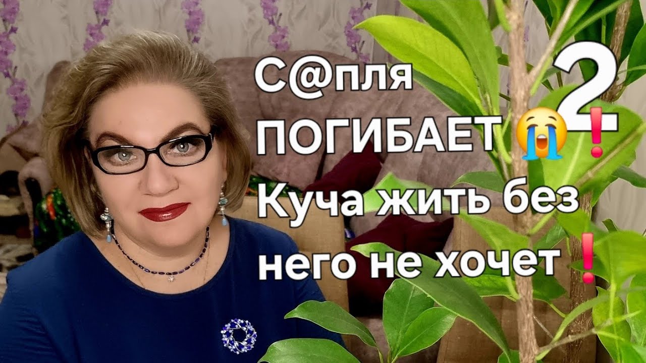 С@пля ПОГИБАЕТ😭❗️Куча жить без него не хочет❗️