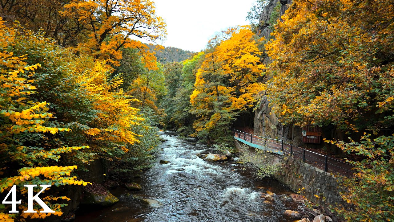 Beginning of autumn in the Bode Valley, A Hike through the Gorge in the Harz Mountains 4K