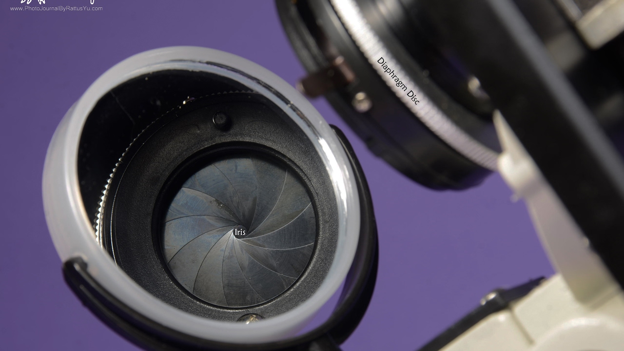Compound Microscope: Harman XSP-13A, Unboxing and Parts of the Microscope