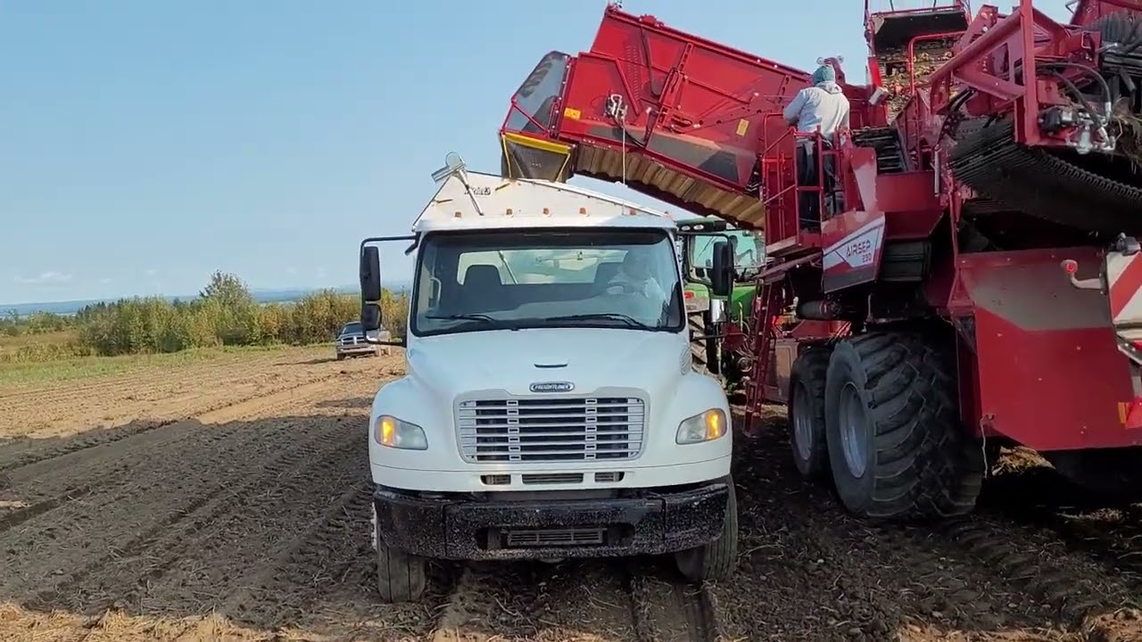 Grimme 290 EVO - with Air Sep - Part 4