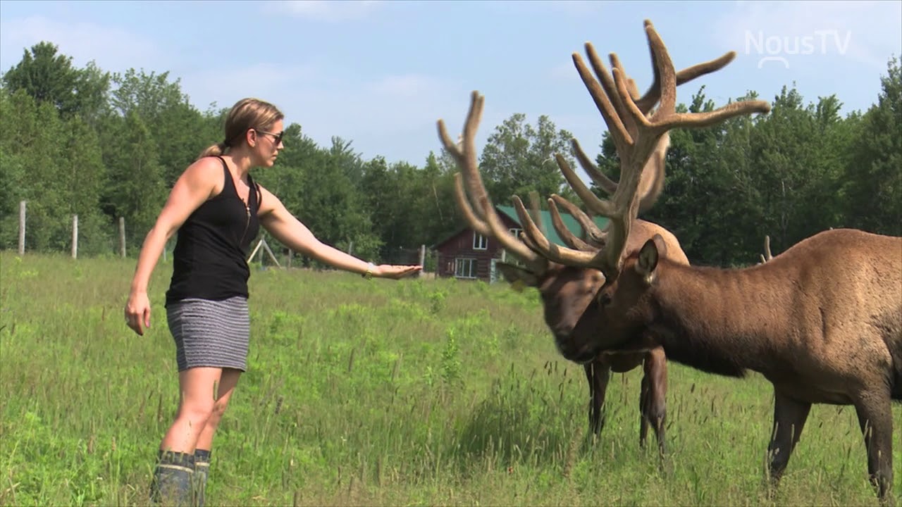 Les Fermes du 21e siècle - La Vallée du Wapiti