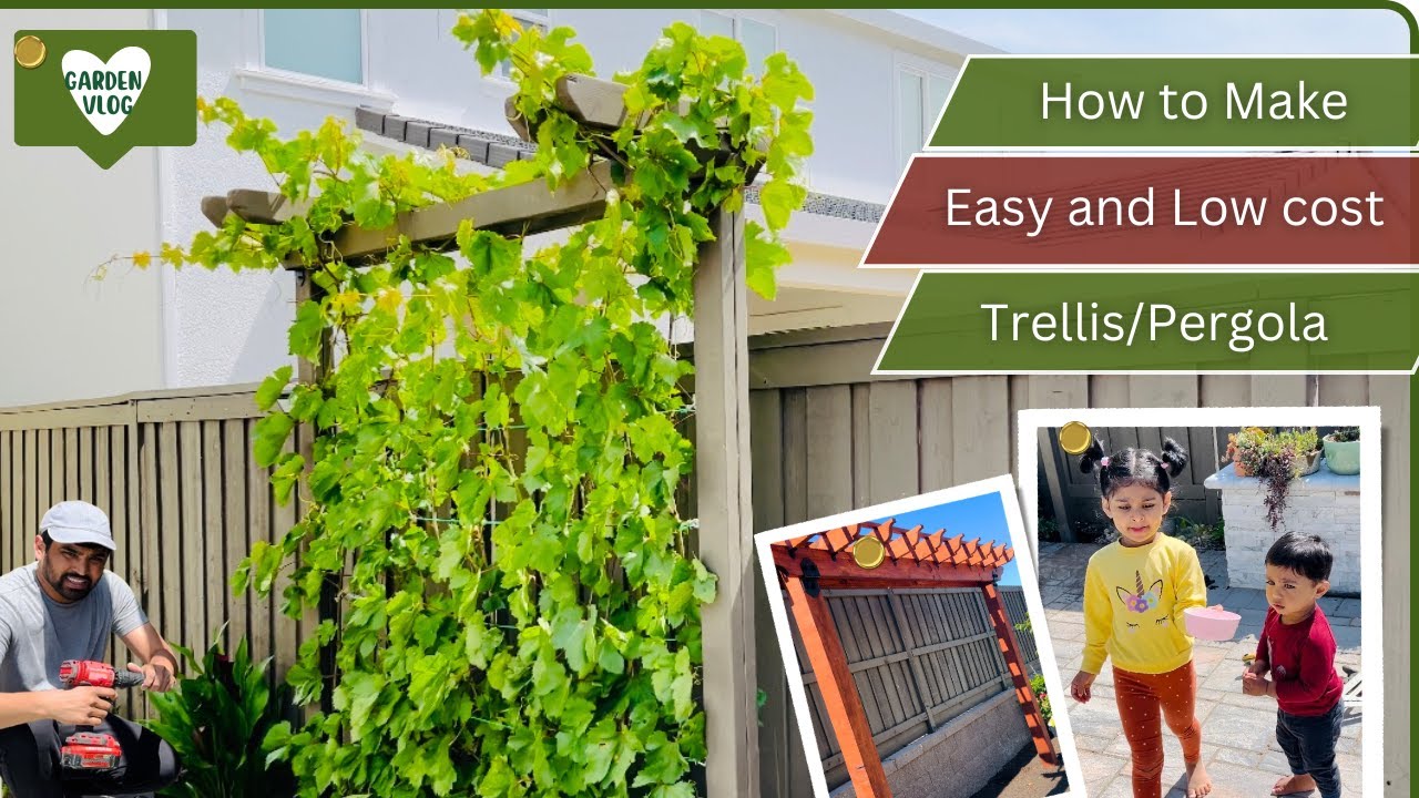 DIY Backyard Grape Trellis/Pergola | Garden Vlog | USA Telugu Vlogs | Shravanisreevlogs