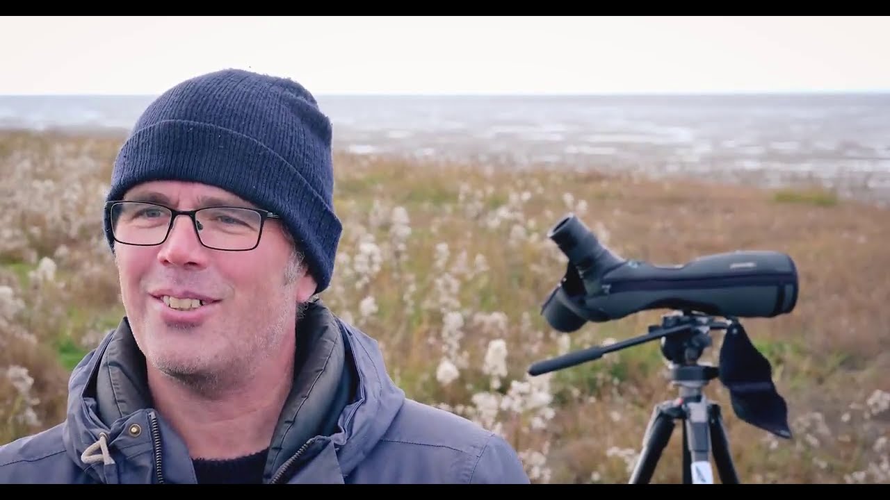 Wij & Wadvogels | Goed toeven op de kwelders van Westhoek voor vogels en mensen