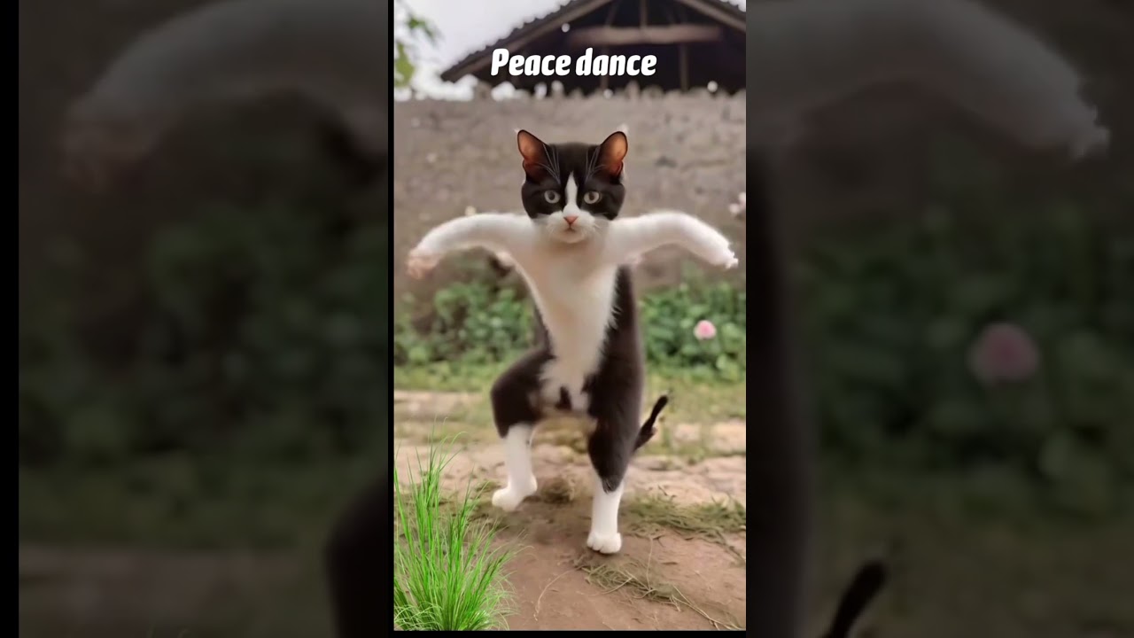 Dance Cartoon #funny #fb #youtube #cartoon #facebook#shorts #trending