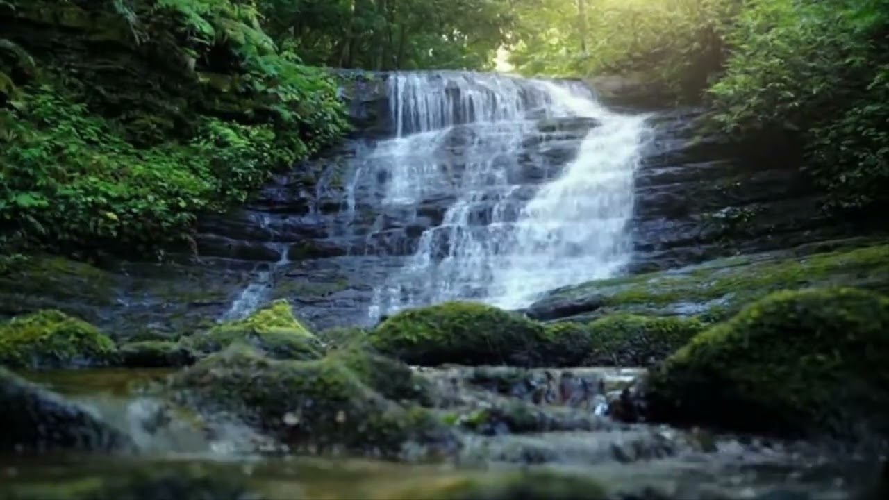 Beautiful Flute Music | Relaxing Flute Music with Rain  Sounds