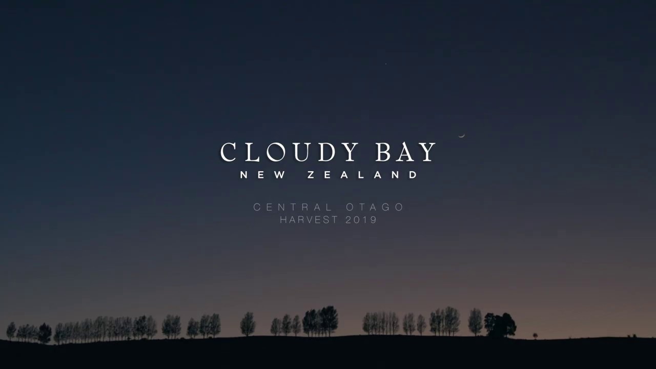 Cloudy Bay 'The Harvest' 2019 - Directors Cut