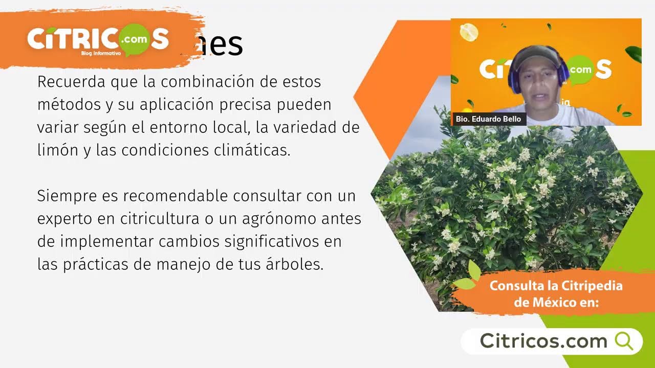 Métodos de inducción de floración 🌼📊💸