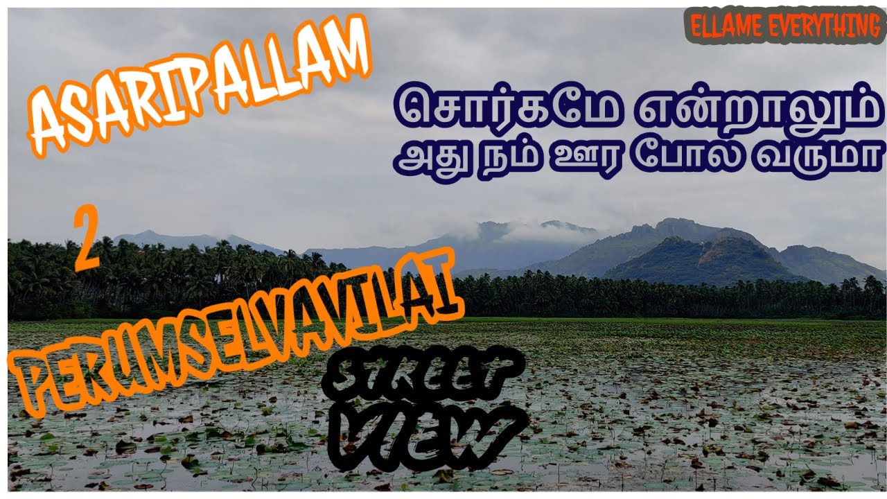 Nagercoil Asaripallam to Perumselvavilai Street View | Lake aside Paddy land aside Travel inside 4K