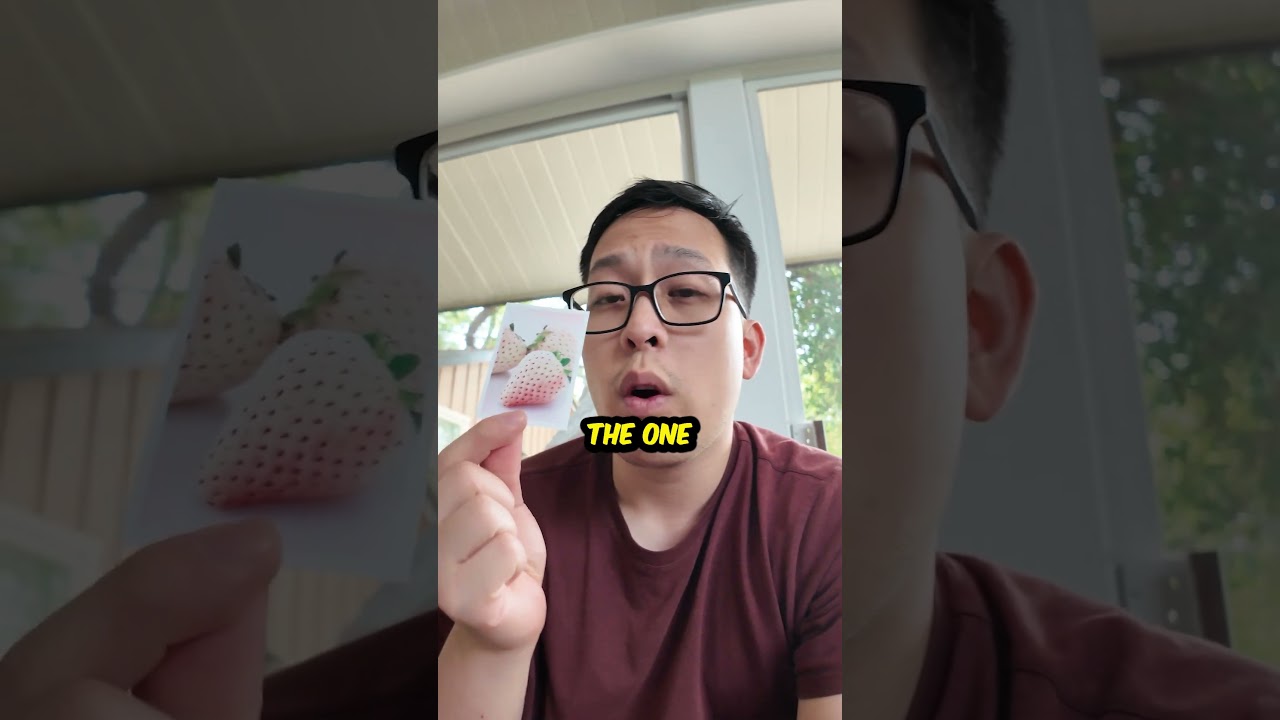 I Tried World&rsquo;s Most Expensive Strawberry 🍓