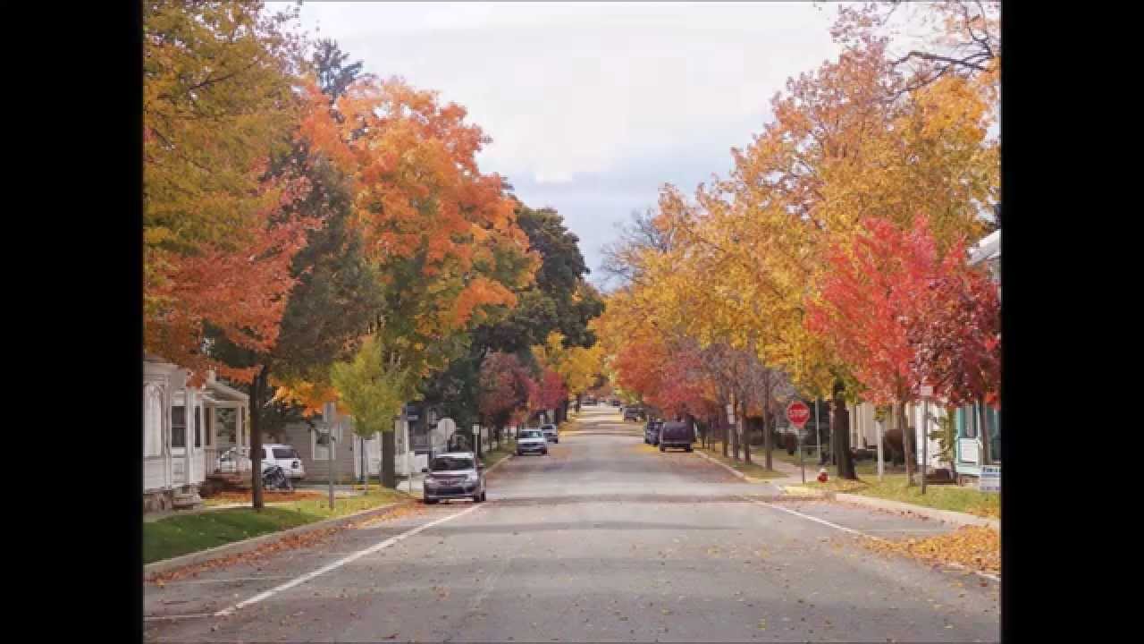 : Mother Nature Needs Us 2023 (Original) Environment Song- by the PJ GRAND BAND