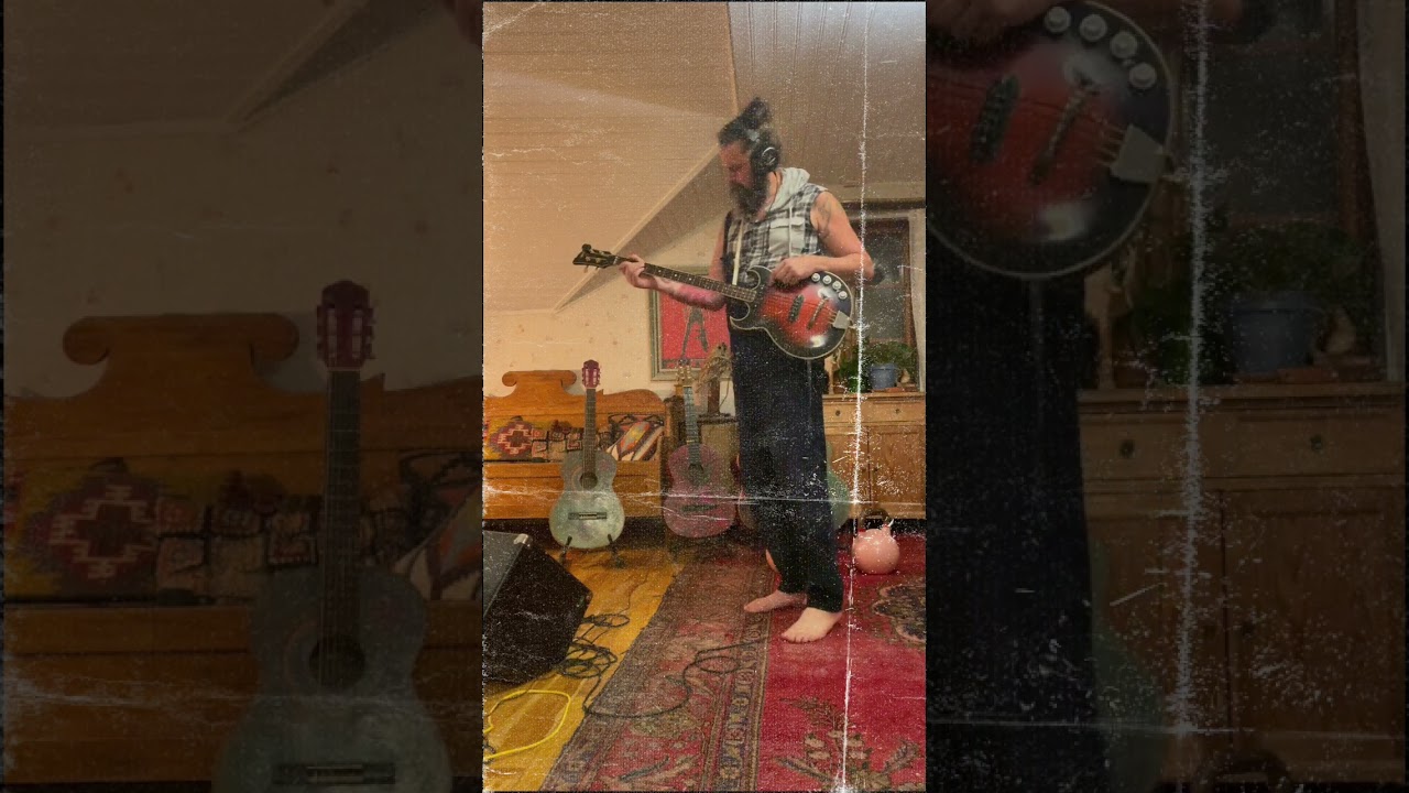 EKO Bass with tapewound strings -Gnarly