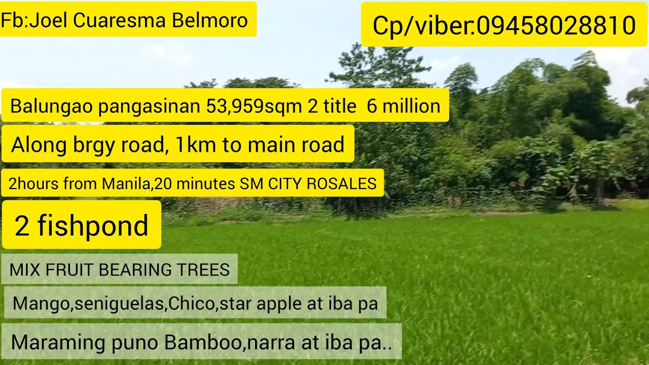 #vlog #51 #affordable FARMLOT 53,959 SQM BALUNGAO PANGASINAN,2 TITLE..6 MILLION NEGOTIABLE #trending