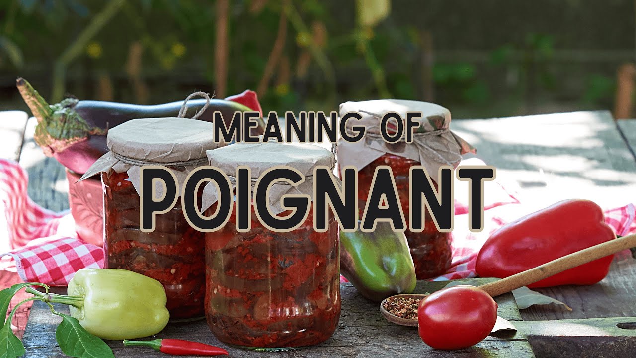 What is the meaning of Poignant?