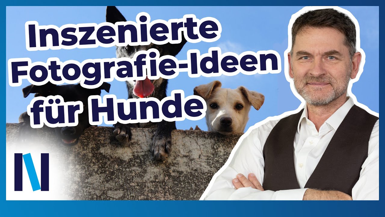 Mit diesen Foto-Tipps setzt Du Hunde perfekt in Szene – mit viele Beispielbildern!