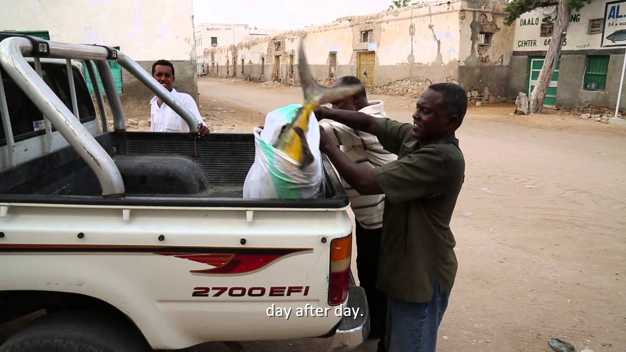 Fish Stocks and Sustainablilty - Securing Somali Fisheries
