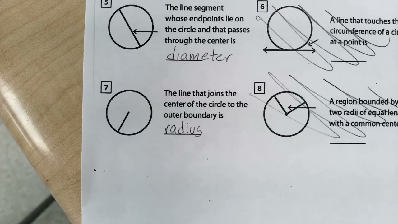 Circle Vocabulary and Circumference