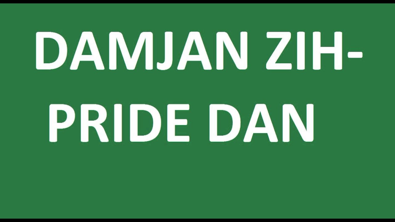 Damjan Zih - Pride Dan