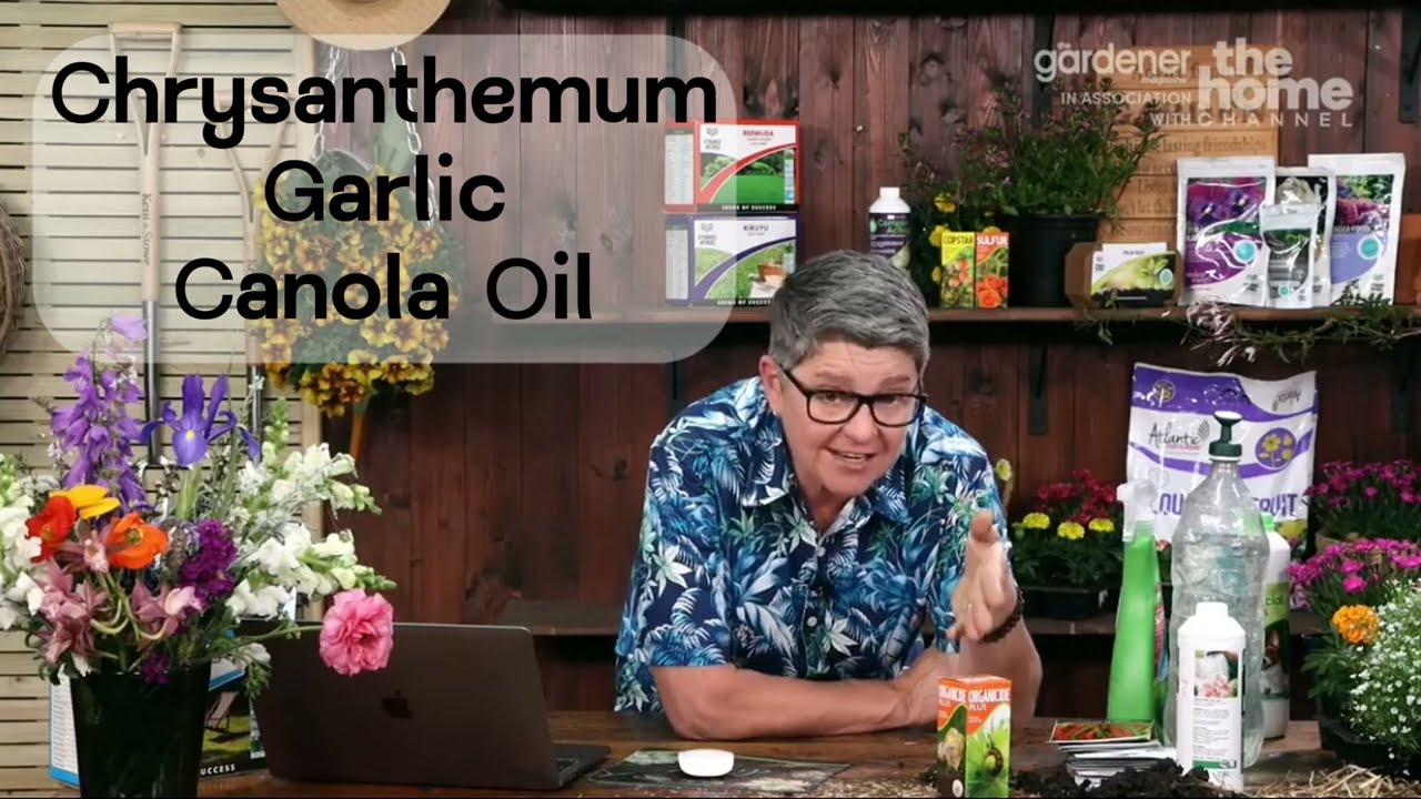 Organicide Plus explained by Tanya Visser