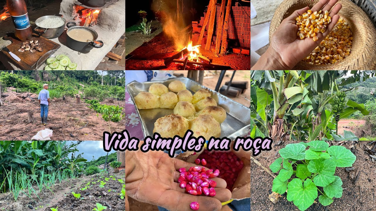 A VIDA NA ROÇA TEM MUITO TRABALHO MAS TEM MUITA RECOMPENSA/ SEGUNDA NOITE NO SÍTIO /ÉPOCA DE PLANTAR