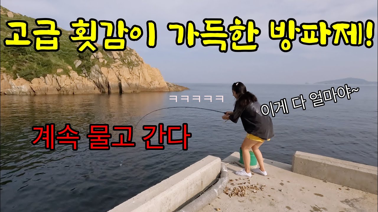 삼시세끼 밥까지 챙겨주는 숙소 바로 앞 방파제에 고급 횟감이 가득하다! 우리나라에서 여기가 고기 제일 많다고?